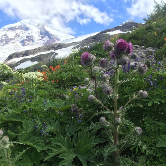 Welcome! - Picture 1 of 1